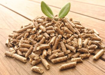 Waruziko pellet ibikomoka ku mazirantoki y’inkwavu bifite uruhare runini mu buzima bwa muntu