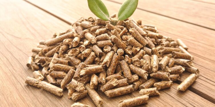 Waruziko pellet ibikomoka ku mazirantoki y’inkwavu bifite uruhare runini mu buzima bwa muntu