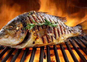 Byinshi utamenye ku mafi