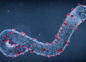 Abantu umunani bamaze kwicwa na Marburg muri Tanzania