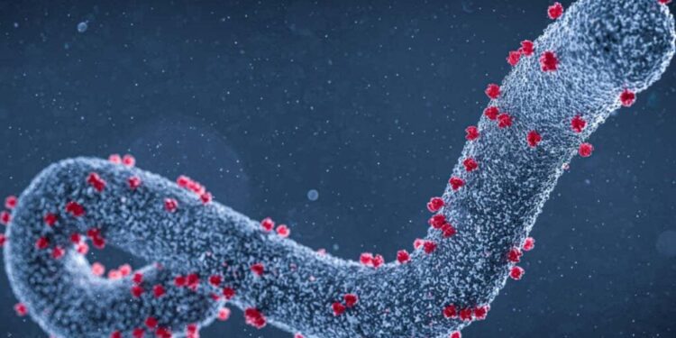 Abantu umunani bamaze kwicwa na Marburg muri Tanzania