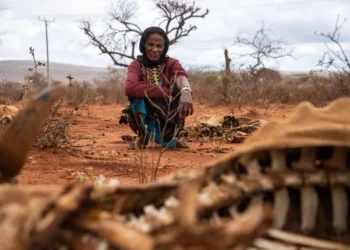 Somalia Iri mu Marembera kubera Amapfa, Intambara, n’Izamuka ry’Ibiciro by’Ibiribwa Bishobora Gushyira Abantu Miliyoni 4.4 mu Nzara Muri Mata