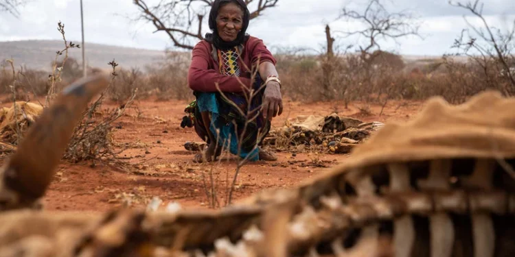 Somalia Iri mu Marembera kubera Amapfa, Intambara, n’Izamuka ry’Ibiciro by’Ibiribwa Bishobora Gushyira Abantu Miliyoni 4.4 mu Nzara Muri Mata
