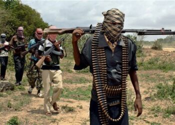 Igitero Cy’Iterabwoba muri Kenya: Abapolisi 6 Bishwe, Intwaro Ziribwa n’Abarwanyi ba al-Shabab