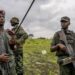 AFC/M23 yatangije operasiyo idasanzwe ku ingabo za Congo hafi ya Pariki ya Virunga