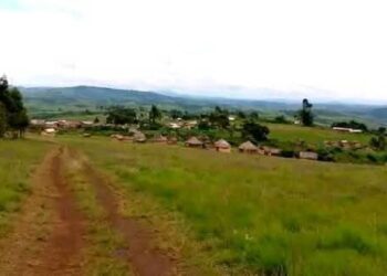 Mikenke: Ingabo za Congo, FDLR n’iza Burundi zahawe isomo rikomeye na Twirwaneho/M23