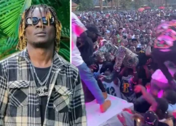 King Saha mu mazi abira nyuma y’uko abacungamutekano be bashinjwe gukubita abantu.