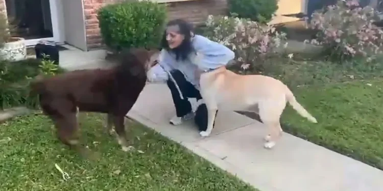 Umuhanga mu by’isanzure yakiriwe n’imbwa ze nyuma y’amezi 9 ari mu isanzure