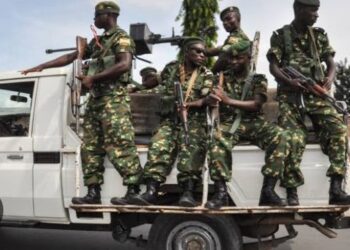 FDNB ivuga ko yatsinze ibitero byinshi by’inyashyamba, nubwo nayo yagabweho ibitero bikomeye