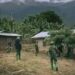 Ingabo za FARDC na AFC/M23 zongeye gukozanyaho i Kabare