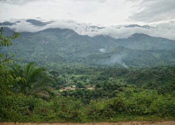 Imbwa zirwaniye igufwa, Gitumba ihinduka ituro ry’imirambo