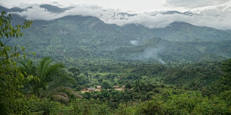 Imbwa zirwaniye igufwa, Gitumba ihinduka ituro ry’imirambo