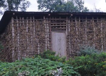 Abatuye Bihungwe barasaba ubufasha: “Nyakatsi ni inzu zishaje, vuba aha ziratugwaho”