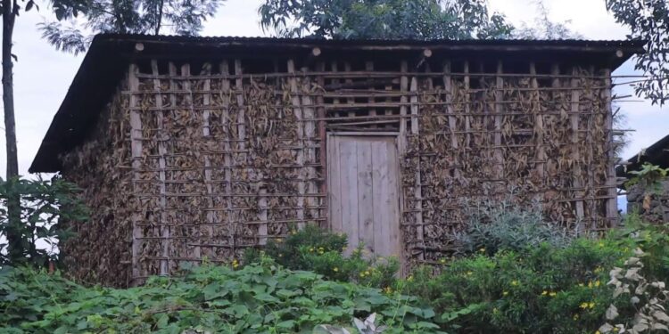 Abatuye Bihungwe barasaba ubufasha: “Nyakatsi ni inzu zishaje, vuba aha ziratugwaho”