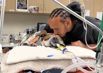 Lewis Hamilton ari mu gahinda gakomeye nyuma y’urupfu rw’imbwa ye