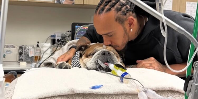 Lewis Hamilton ari mu gahinda gakomeye nyuma y’urupfu rw’imbwa ye