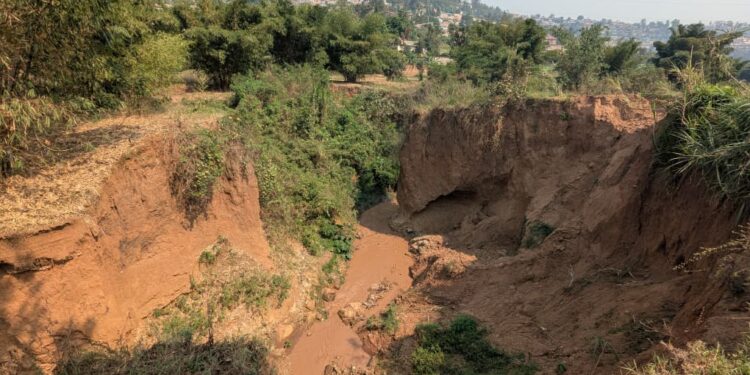 Abaturage ba Twishorezo baratabaza kubera ruhurura itenguka umunsi ku wundi