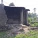 Nyabihu: Bamwe mu baturage babuze iyo bakinga umusaya, barasaba ubufasha bwo gusanirwa inzu zabaguyeho