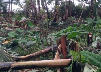 Gatsibo: Umugabo akekwaho gutema urutoki rwa mugenzi we, nyuma yo gutonganira mu kabari