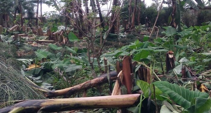 Gatsibo: Umugabo akekwaho gutema urutoki rwa mugenzi we, nyuma yo gutonganira mu kabari