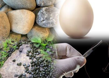 Nyagatare: Umukobwa warozwe kwihagarika igi, n’amahurunguru, akagarura ibirimo imisatsi n’amabuye