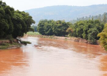 Muhanga: Abaturage bamaze iminsi ibiri bategereje kubona umurambo w’umusore warohamye mu mugezi wa Nyabarongo