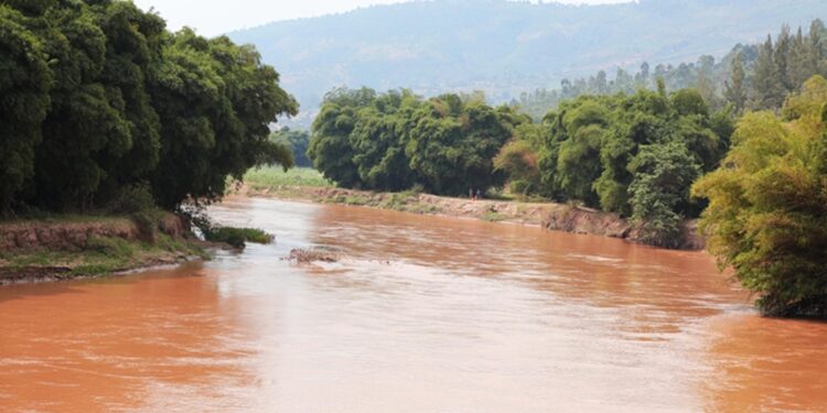 Muhanga: Abaturage bamaze iminsi ibiri bategereje kubona umurambo w’umusore warohamye mu mugezi wa Nyabarongo