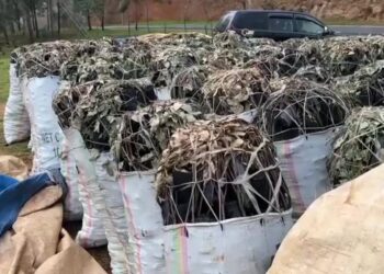 Abacuruzi b’amakara barasaba ibisobanuro ku cyemezo cyo kubuzwa kuyatwara mu kiyaga cya Kivu