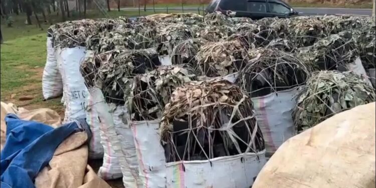 Nyamasheke: Abacuruzi b’amakara babujijwe gutwara amakara bakoresheje inzira y’ikiyaga cya Kivu