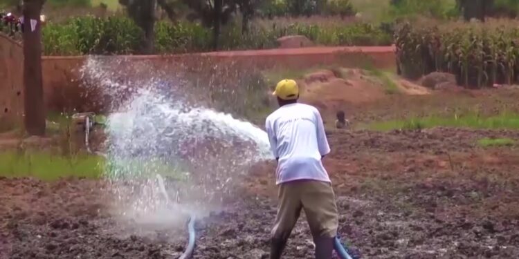 Guverinoma y’u Rwanda irasaba urubyiruko rwize ubuhinzi guhurizwa mu mishinga minini y’iterambere