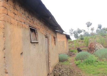 Rubavu: Abatujwe i Gora baravuga ko batishimiye imibereho bafite, nyuma yo kwimurirwa muri uwo Mudugudu