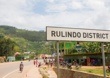 Kinihira: Abantu batabashe kumenyekana baranduye ibiti by’icyayi bigera kuri 400