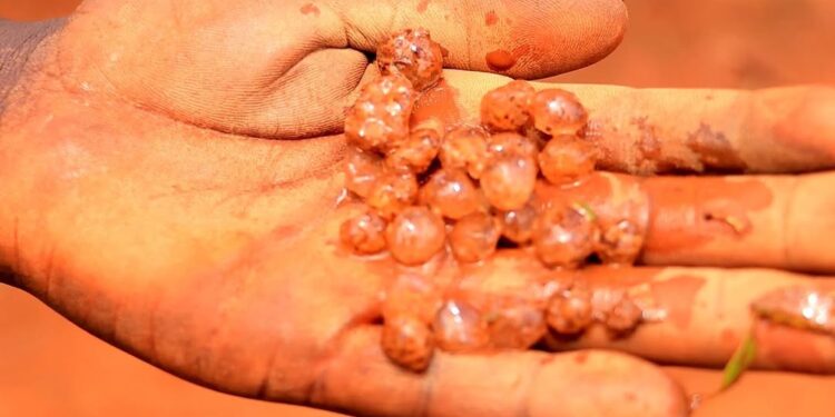 Imvura y’urubura yangije ibihingwa n’inzu i Musheri