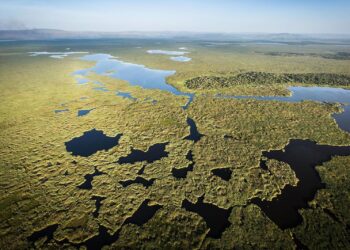 Rwamagana: Umugabo w’imyaka 31 yarohamiye mu gishanga cya Akagera