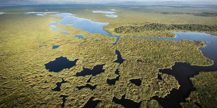 Rwamagana: Umugabo w’imyaka 31 yarohamiye mu gishanga cya Akagera