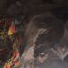 Umuryango ushinjwa ubujura wateje impungenge abaturage ba Rwabicuma