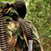 ADF yongeye kwica abasivili muri DR Congo