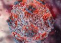 Hantavirus ikomeje gukwirakwira ku Isi