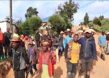 Rutsiro: Umukecuru arasaba gusubizwa inka yambuwe muri gahunda ya Girinka nyuma y’itegeko ry’Umuvunyi