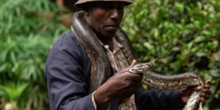 TAWA yaburiye abatunga inyamaswa zo mu gasozi mu ngo batabifitiye uruhushya